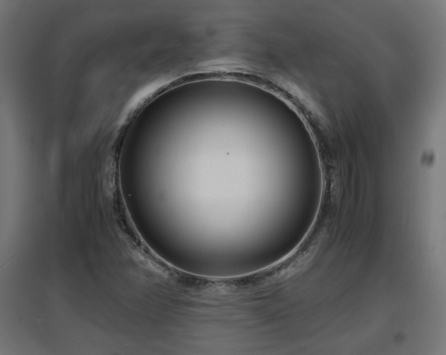 X0000094971358200712061417