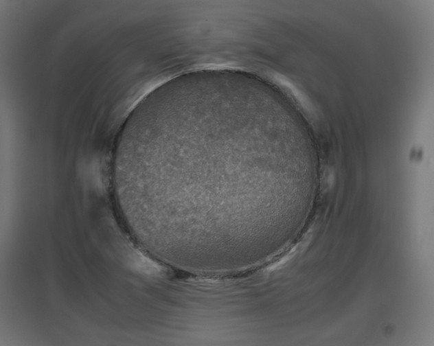 X0000094971361200712061417