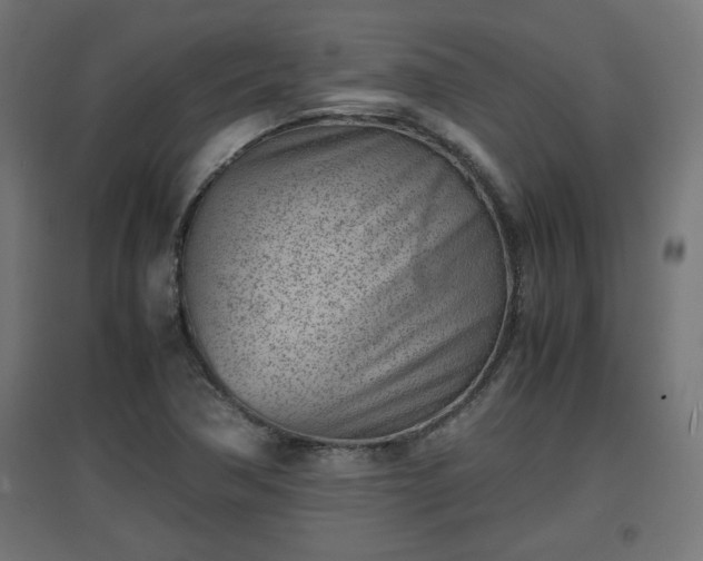 X0000094971362200712061417