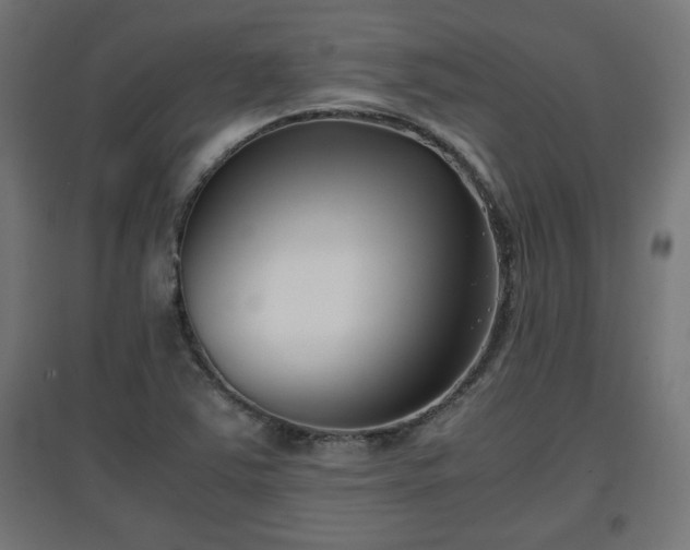 X0000094971363200712061417