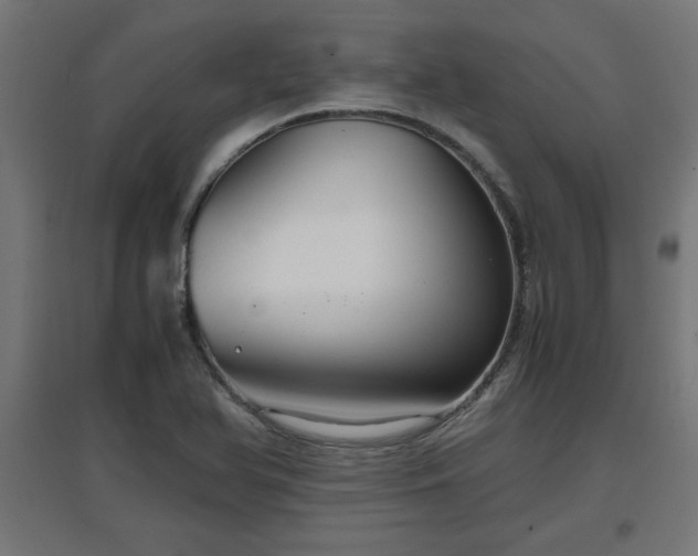 X0000094971366200712061417