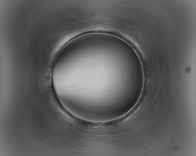 X0000094971367200712061417