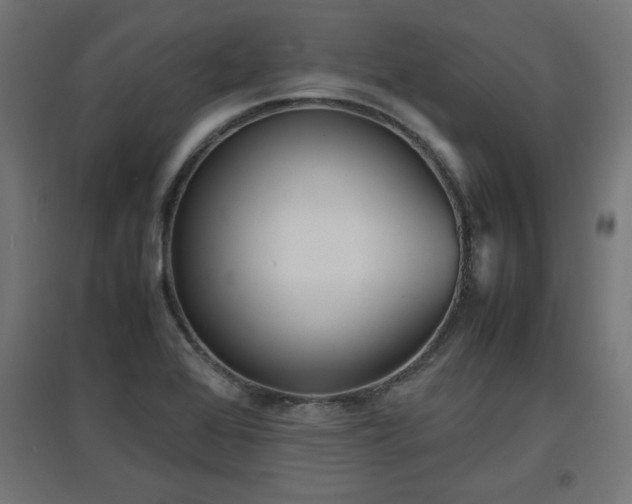 X0000094971368200712061417
