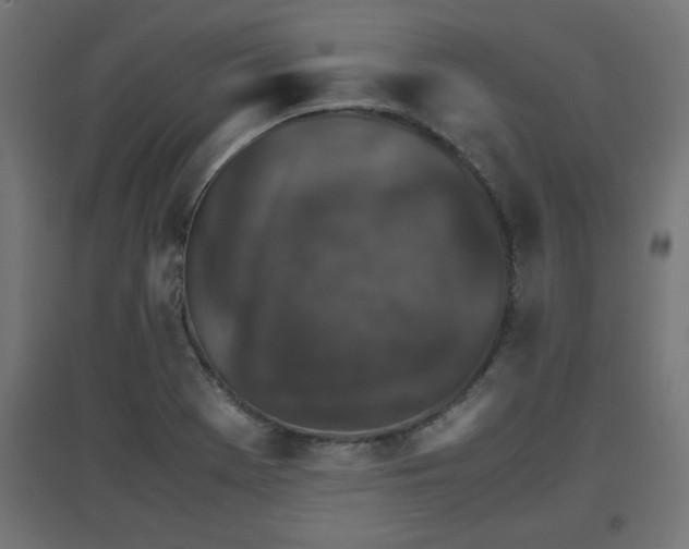 X0000094971369200712061417