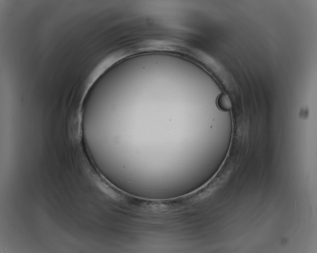 X0000094971370200712061417