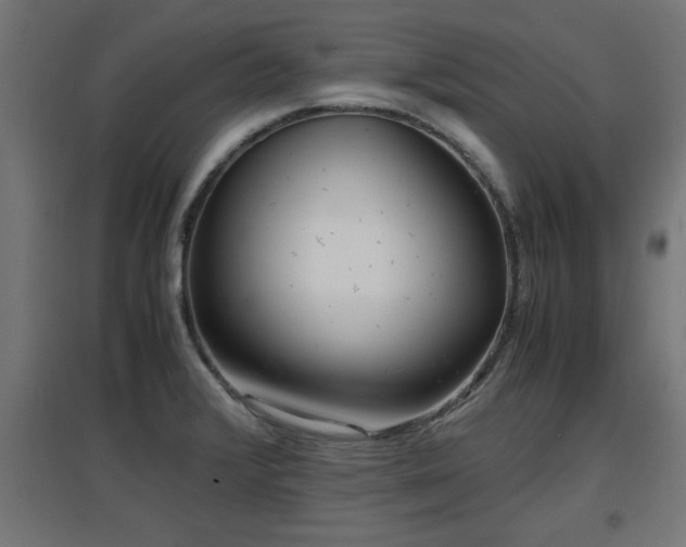 X0000094971376200712061417