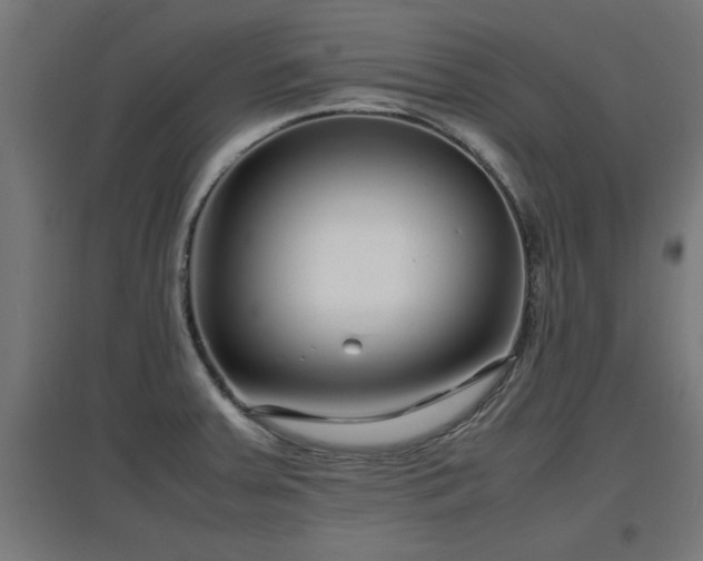 X0000094971379200712061417