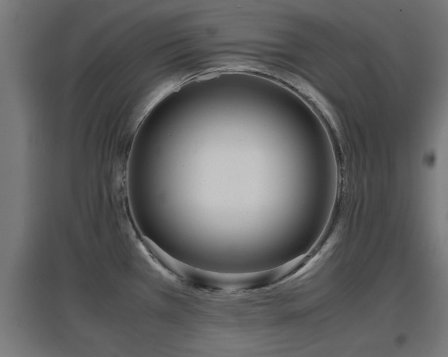 X0000094971385200712061417