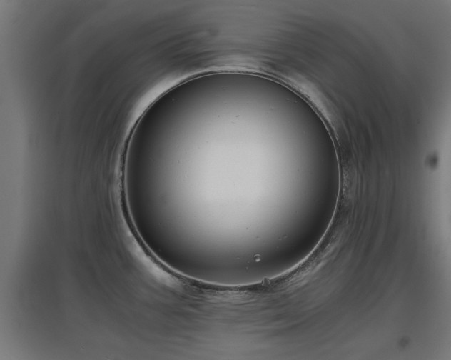 X0000094971387200712061417