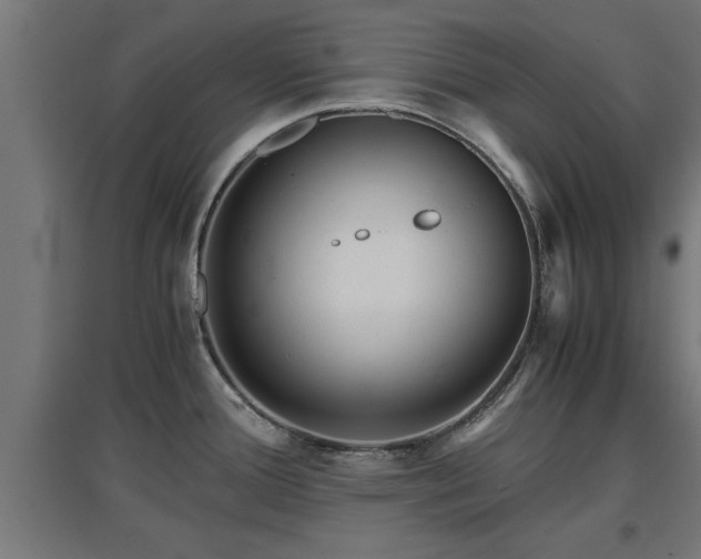 X0000094971388200712061417
