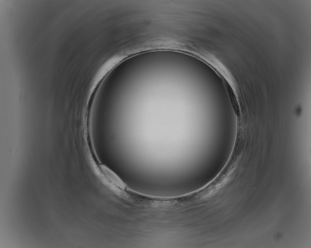 X0000094971389200712061417