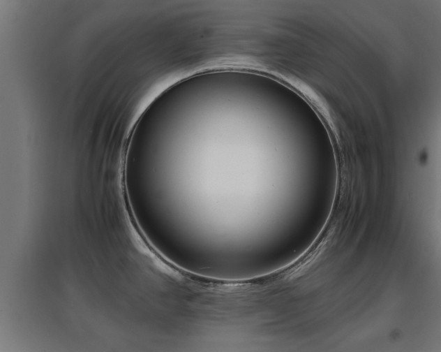 X0000094971390200712061417