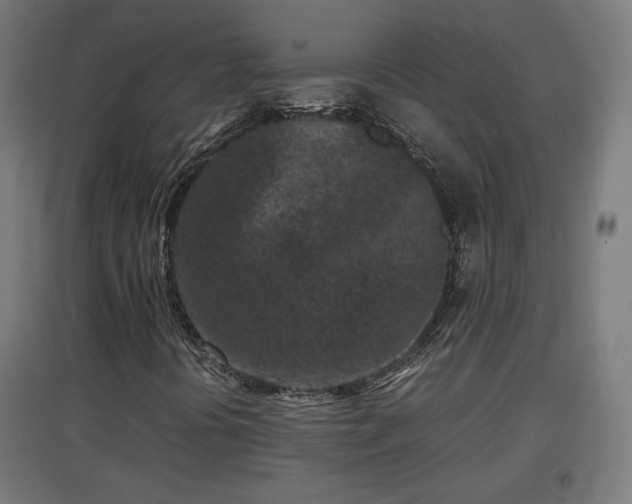 X0000094971394200712061416