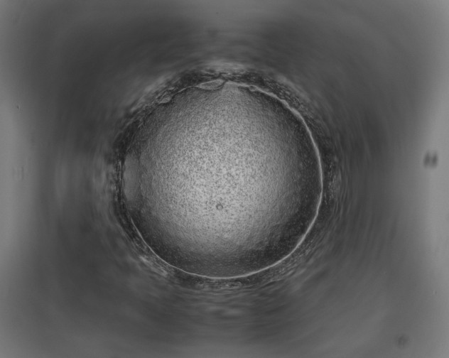 X0000094971397200712061416