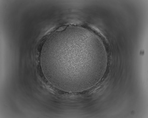 X0000094971399200712061416