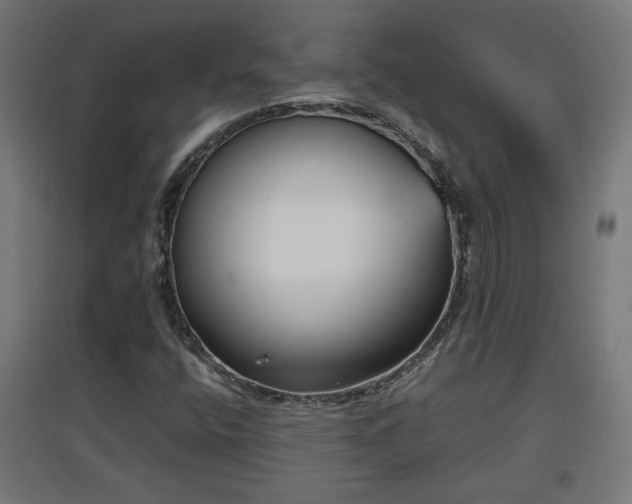 X0000094971400200712061416