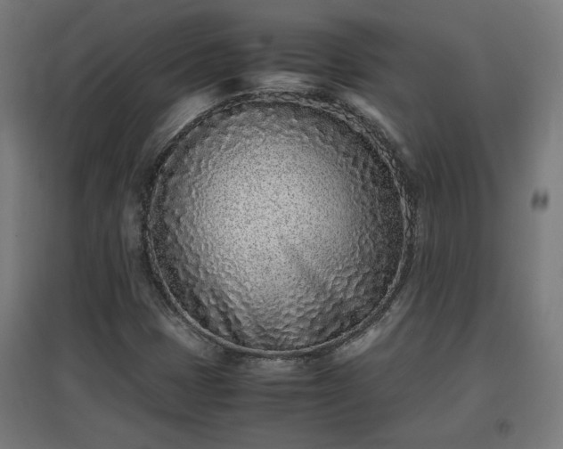 X0000094971401200712061416