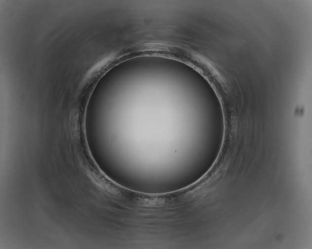 X0000094971403200712061416