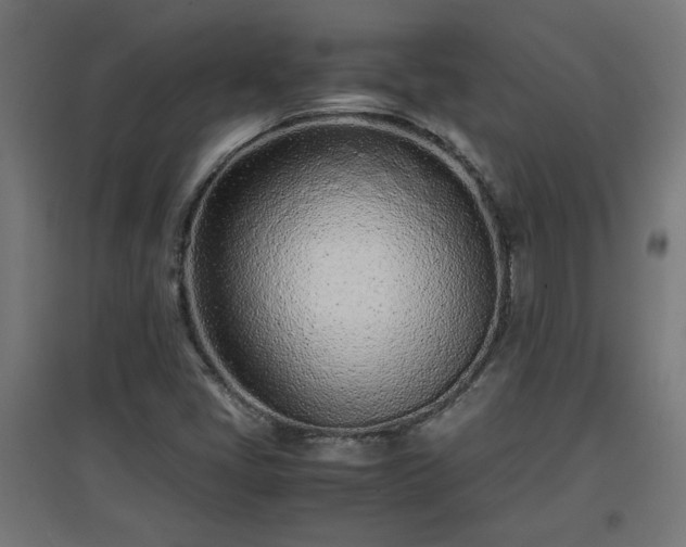 X0000094971405200712061416