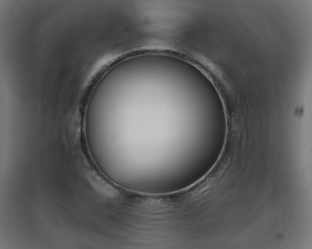 X0000094971408200712061417