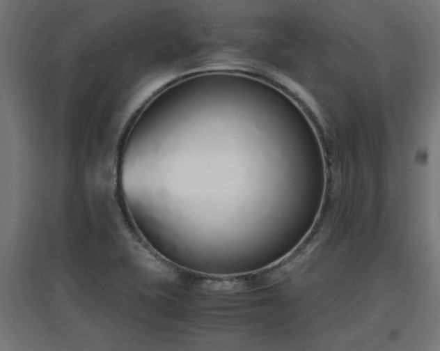 X0000094971415200712061417