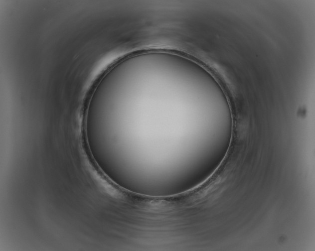 X0000094971416200712061417