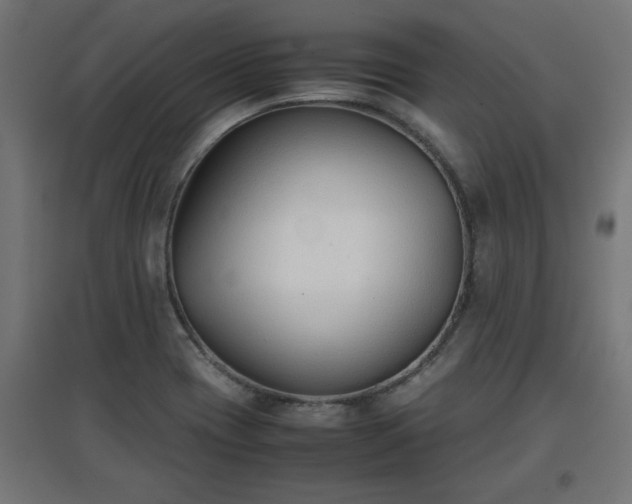 X0000094971417200712061417