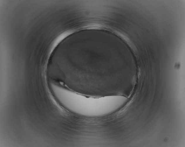 X0000094971418200712061417