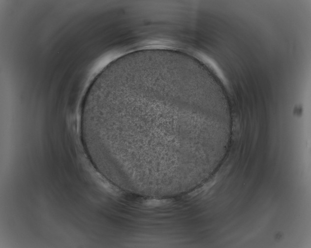 X0000094971419200712061417
