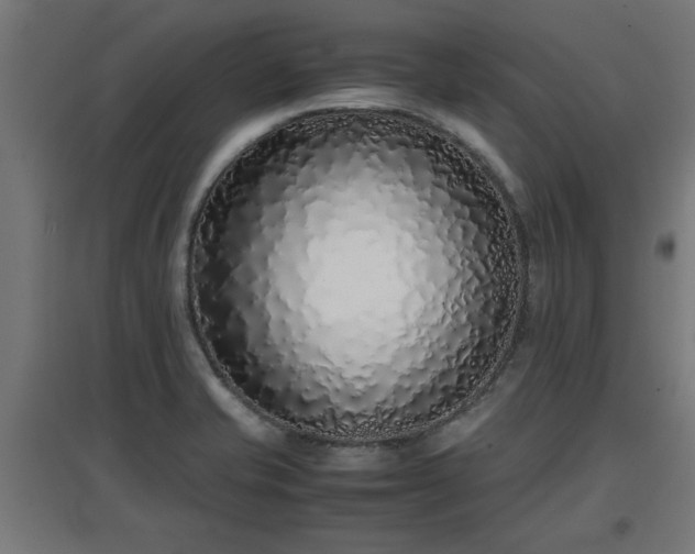 X0000094971421200712061417
