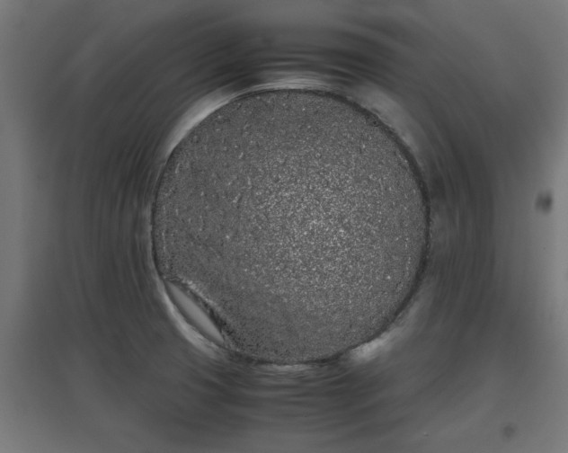 X0000094971425200712061417