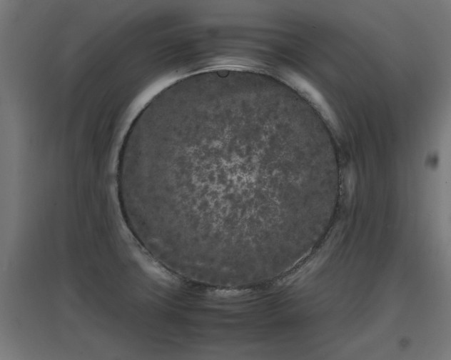 X0000094971427200712061417