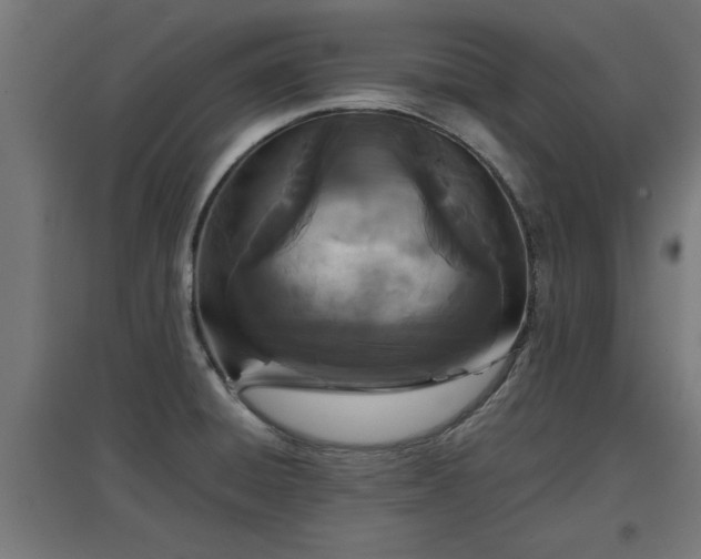 X0000094971428200712061417