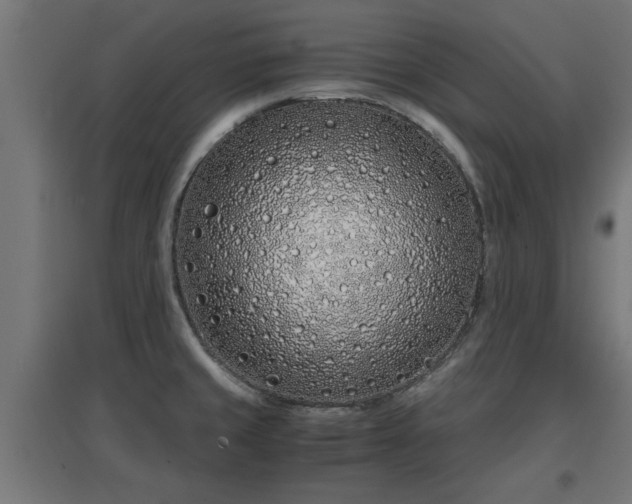 X0000094971429200712061417