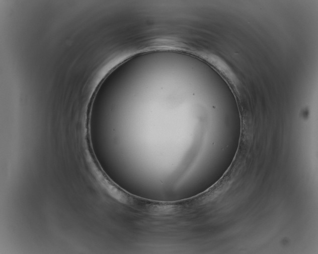 X0000094971431200712061417