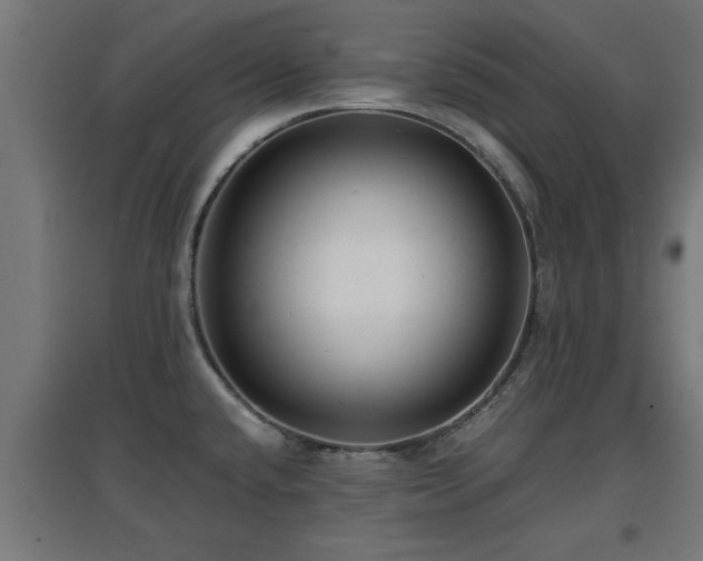 X0000094971432200712061417