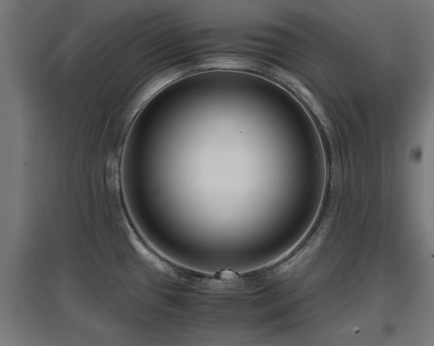 X0000094971433200712061417
