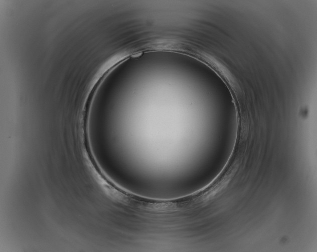 X0000094971434200712061417