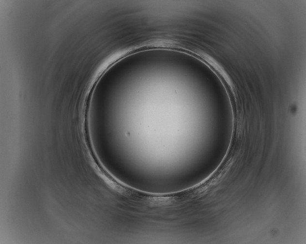 X0000094971437200712061417