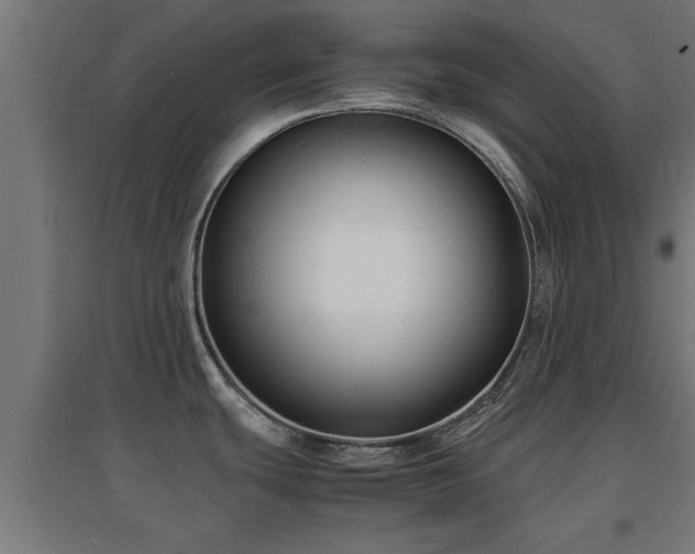 X0000094971439200712061417