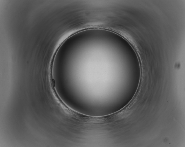 X0000094971440200712061417