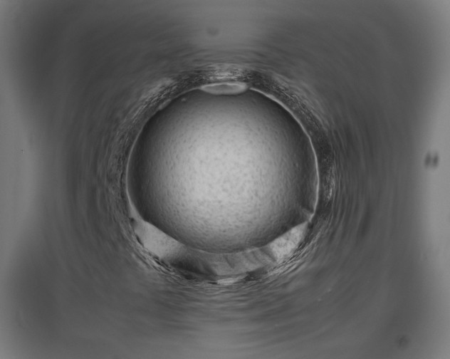 X0000094971441200712061416