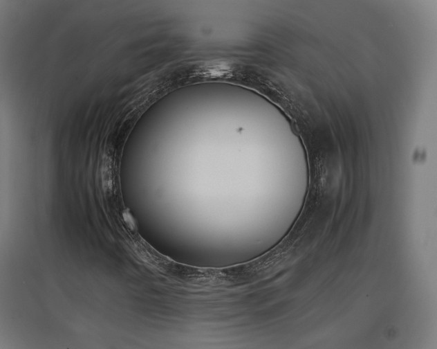 X0000094971442200712061416
