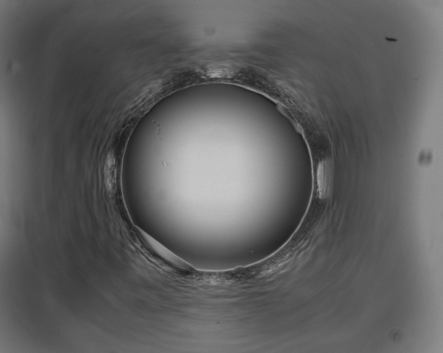 X0000094971443200712061416