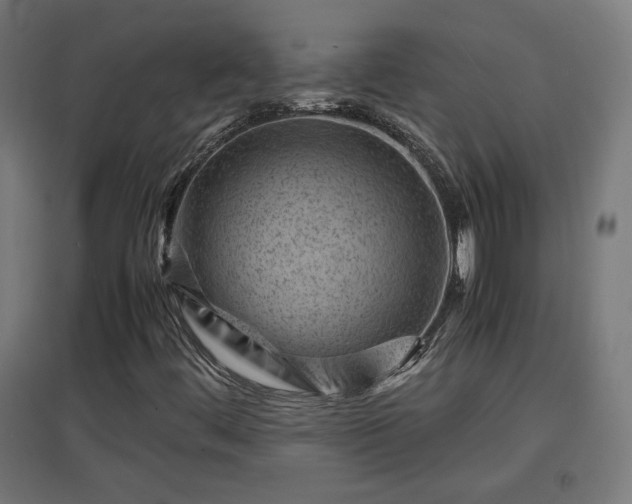 X0000094971444200712061416
