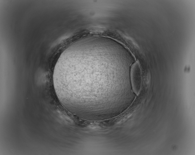X0000094971445200712061416