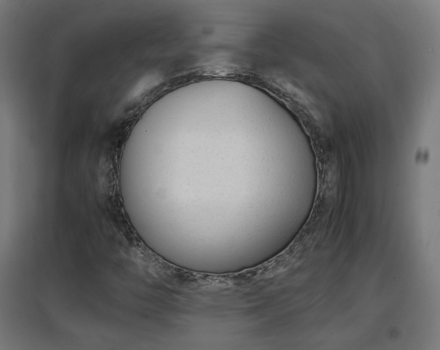 X0000094971446200712061416