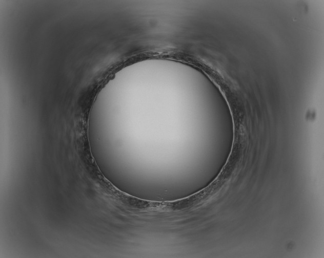 X0000094971447200712061416