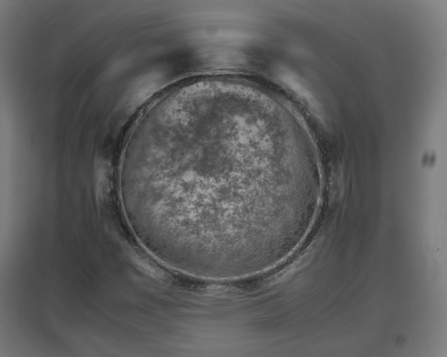 X0000094971449200712061416