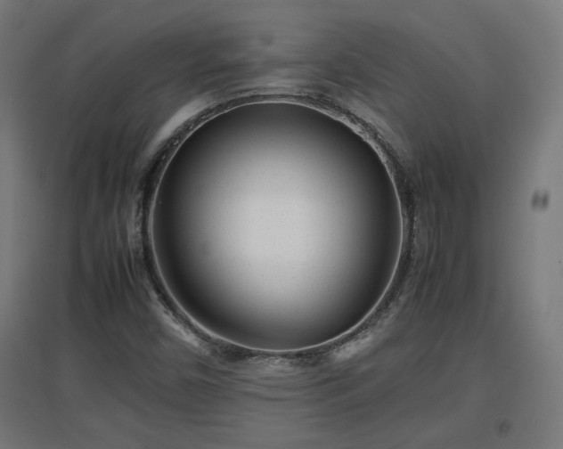 X0000094971450200712061416